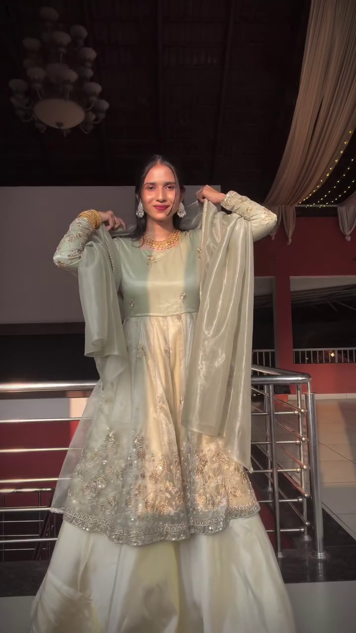 Elegant Pastel Party Wear Gown Set – Subtle Glam Look 💫